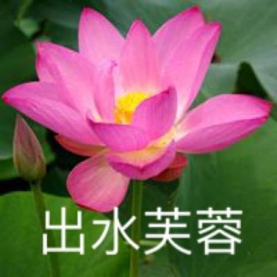 皮皮玩手游app下载